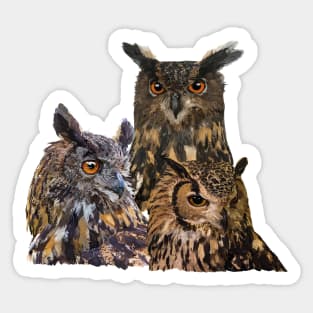 Royal Owl Sticker